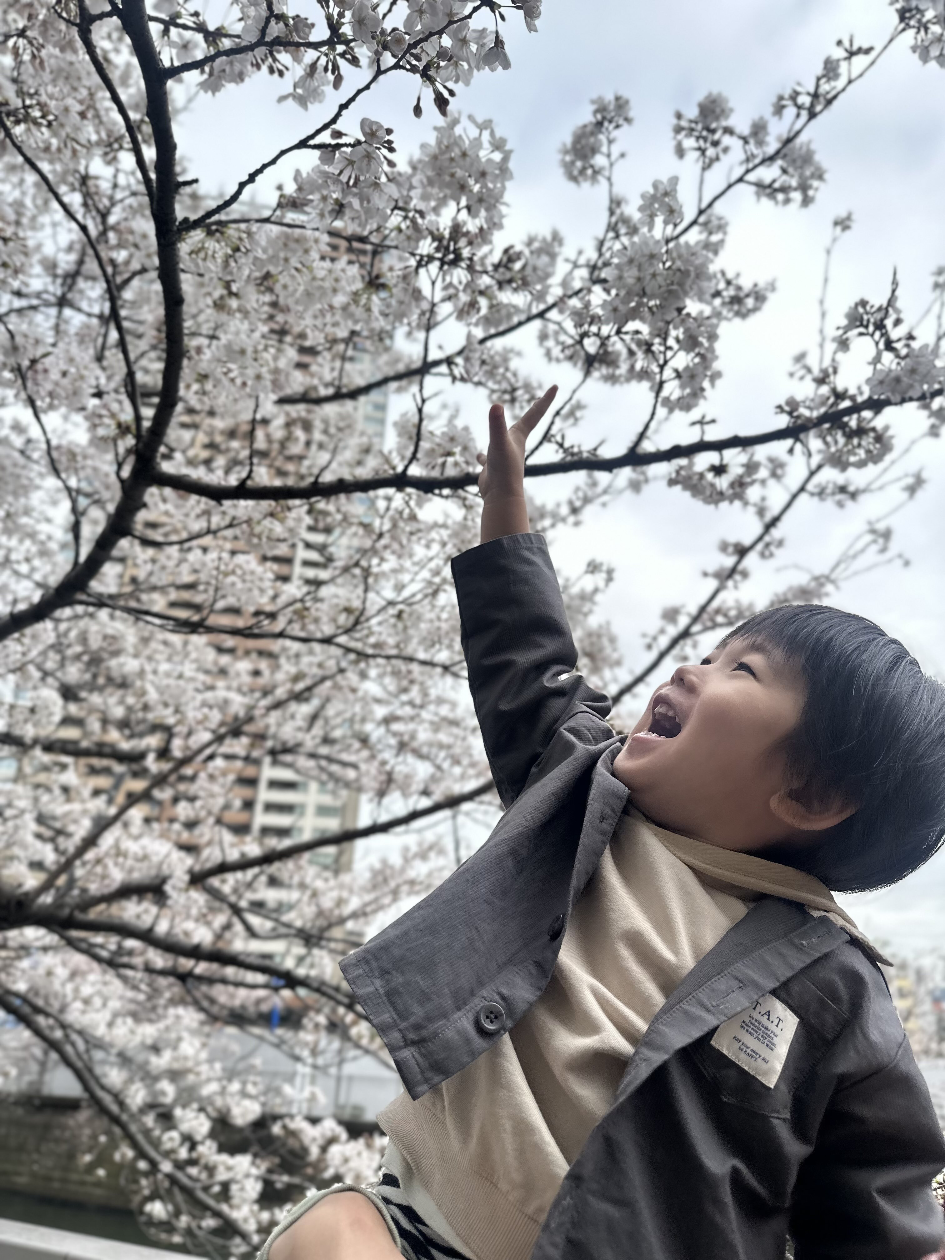 休みの日の過ごし方、目黒川の桜