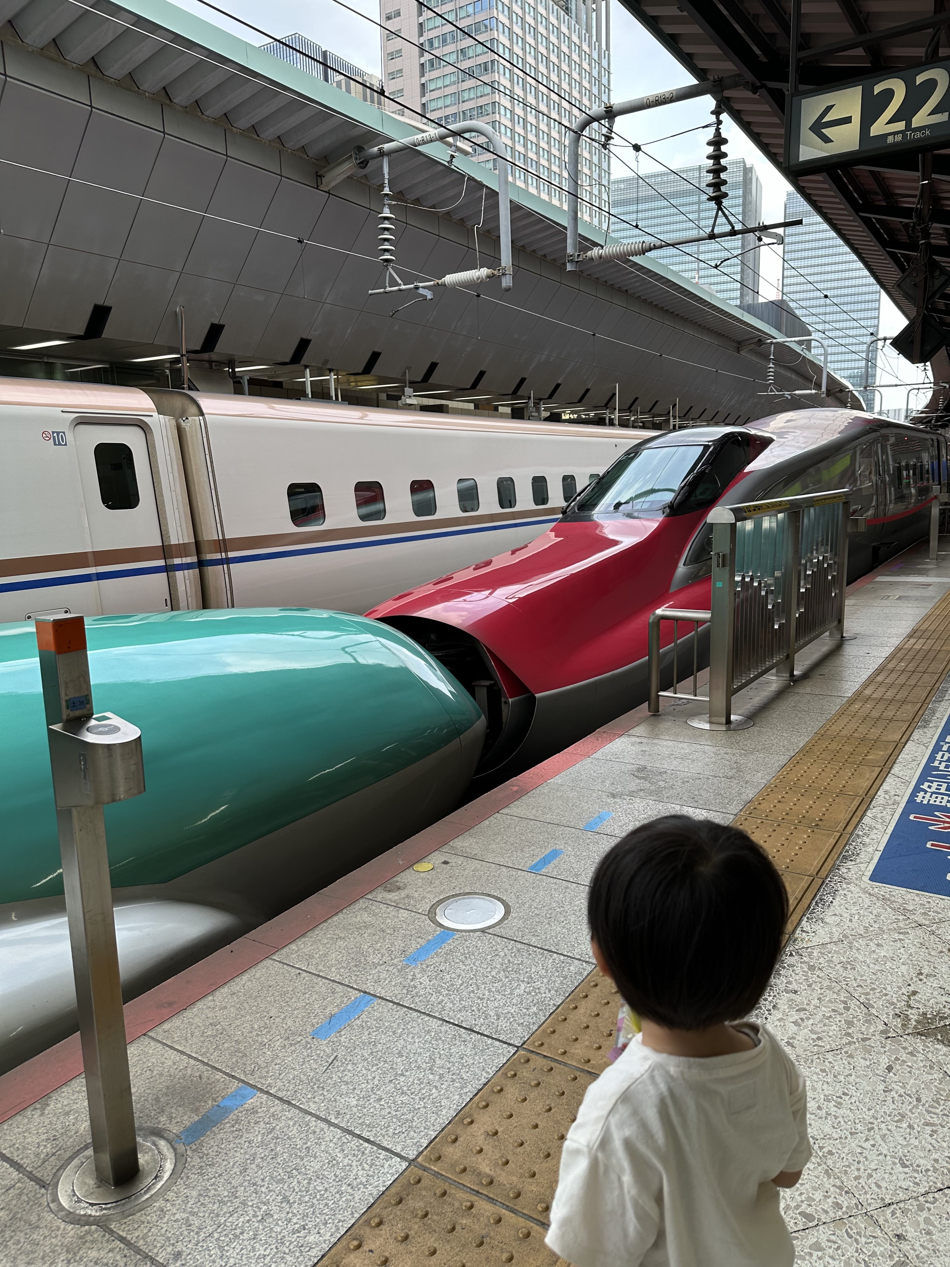 新幹線　はやぶさ　こまち　仙台へ