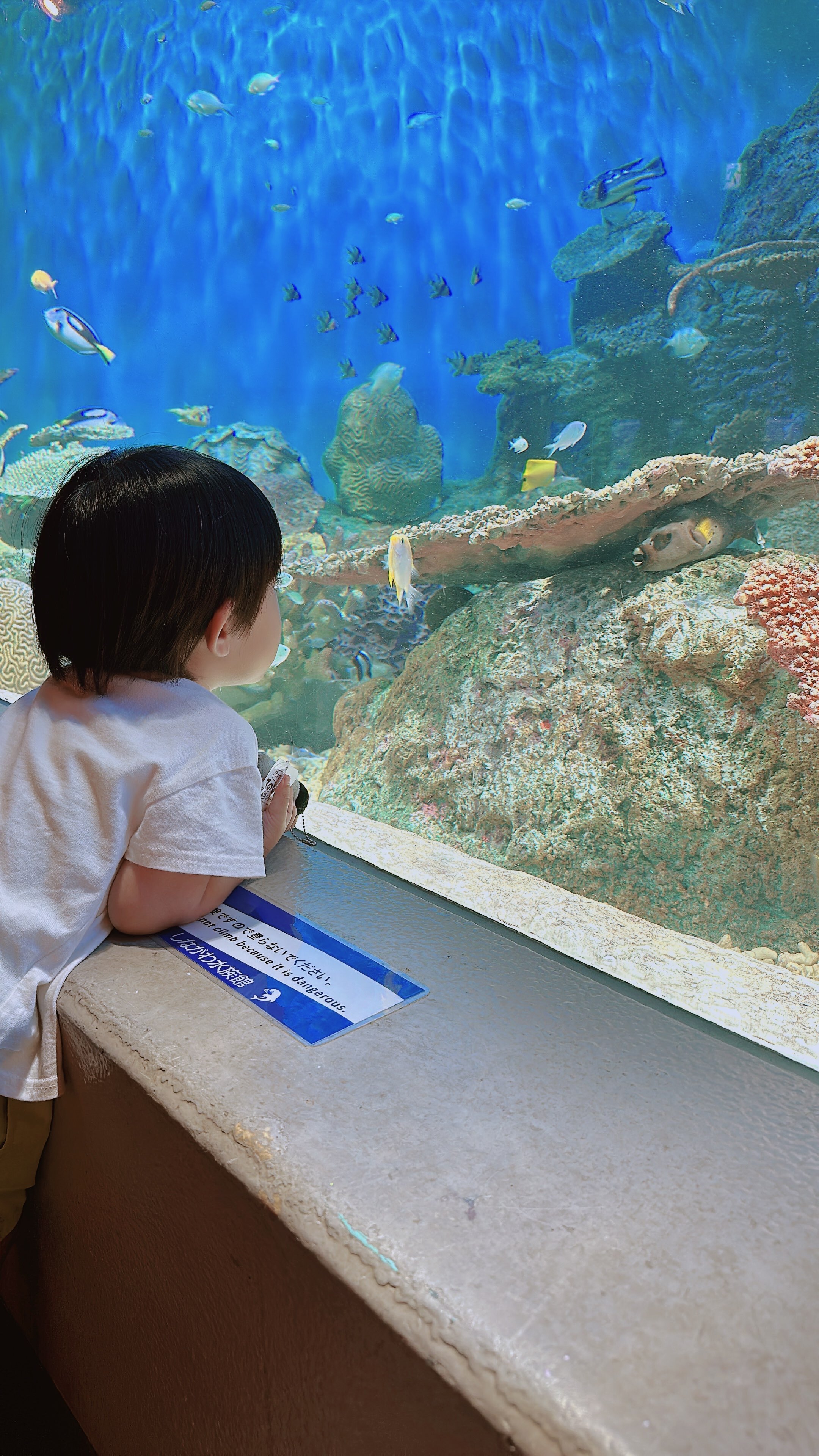 しながわ水族館　休日のかねこデンタルクリニックの過ごし方