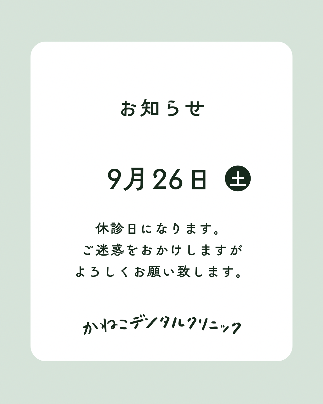 8月17日